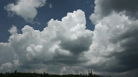 Time lapse of storm clouds building in a blue sky above a treeline of spruce Stock Footage 244937525