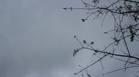 Time lapse storm clouds Stock Footage 22213726