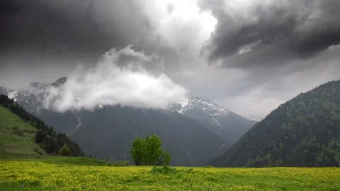 Time lapse storm clouds gathering before rain over the flowering meadows the 스톡 동영상 333789503