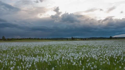 Time-lapse of storm clouds over prairie, fade into night Vidéo 68623558