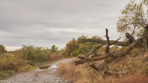 Time Lapse of Storm Clouds Passing Over a Dirt Road in a Rural Area Stock Footage 70150019