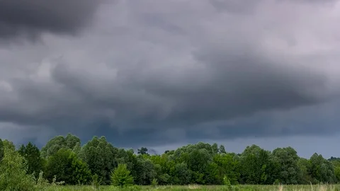 Time lapse of storm clouds passing over green forest 動画素材 72534701