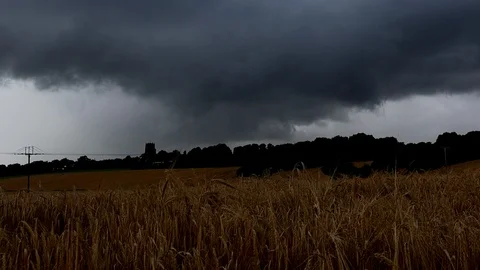 Time lapse of storm over wheat field blowing in the wind UK 4K Stockbeeldmateriaal 112172496