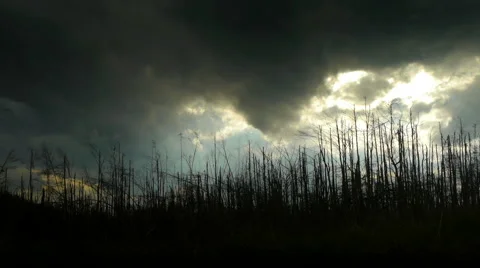 Time-lapse of Stormy Clouds Right After the Storm 스톡 동영상 44982417