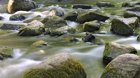 Time lapse stream and stones Stock Footage 55059976