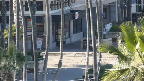 Time Lapse street corner with palms Stock Footage 172602425