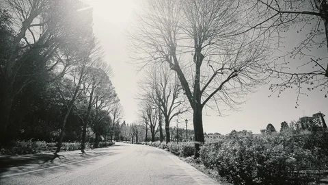 Time-lapse streets of Florence in black and white Vídeo Stock 119495328