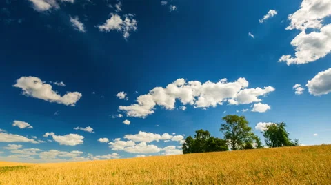 Time lapse of stubble field and trees under blue sky Stock Footage 58740694