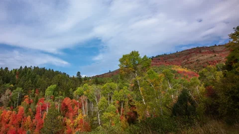 Time-lapse -  Stunning autumn fall foliage mountain and blue clouded sky Stock Footage 145519948