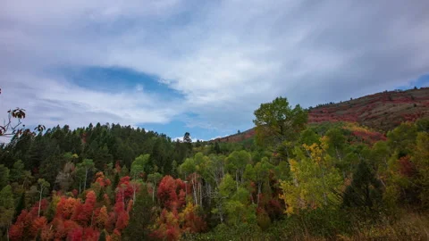 Time-lapse -  Stunning autumn fall foliage mountain and blue clouded sky Vídeos de archivo 248916273
