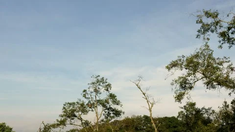 Time lapse of subtle light clouds passing by on a mostly clear sky at sunrise Stock Footage 305774076