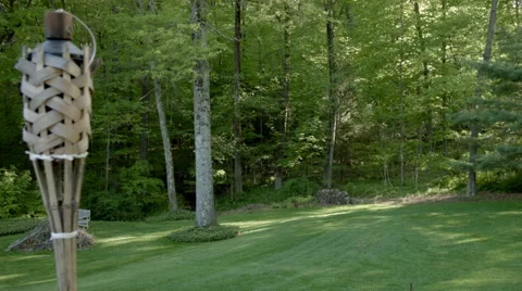 Time Lapse suburban backyard, sunset to night Stock Footage 50294834