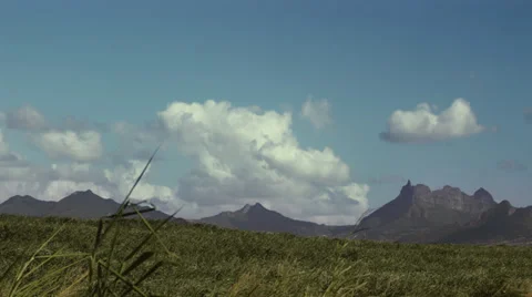 Time-lapse sugarcane fields 스톡 동영상 37283629