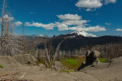 Time lapse of summer clouds forming over summit of Mt. Jefferson, Oregon Video stock 329462459