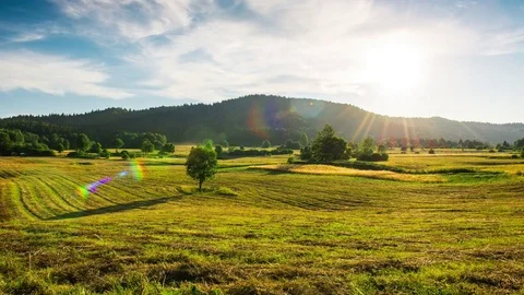 Time lapse of summer green and gold field landscape at sunset, Croatia. Stock Footage 83360655