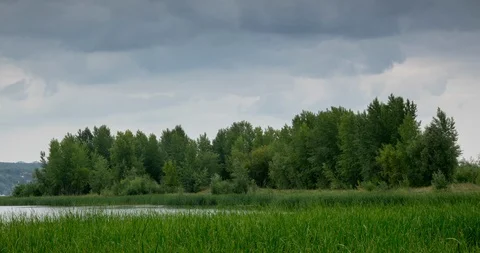 Time Lapse Summer Landscape Stock Footage 113806724