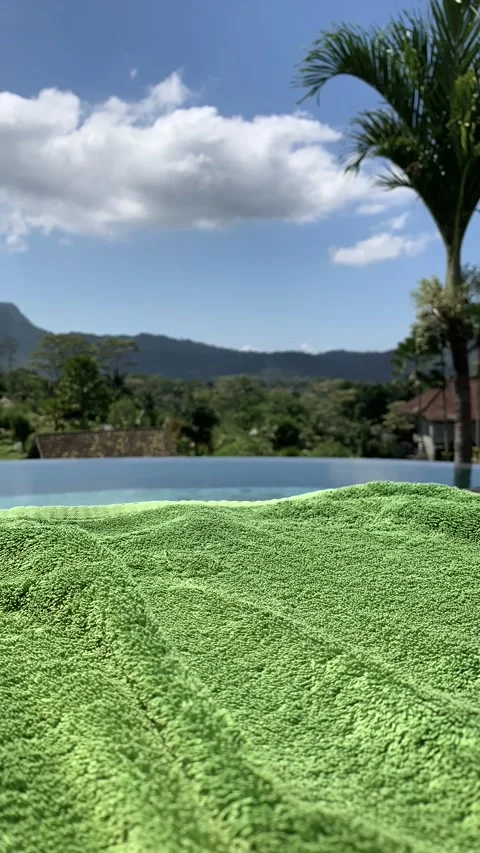 Time lapse of summer landscape with Windy weather, green grass and palm tree Video stock 219858112