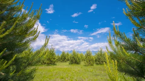 Time lapse. Summer mountain landscape during the day Stock Footage 312135474