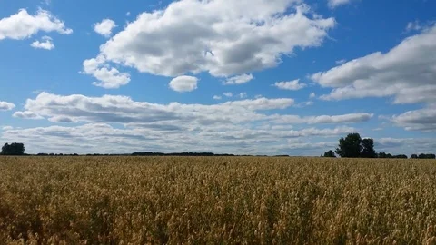 Time lapse. Summer, river, grass, sky and clouds Stock Footage 120183909