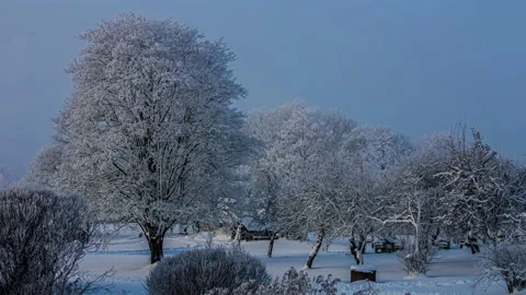 Time lapse of sun and clouds moving over snowy trees and forests Stock Footage 170122232