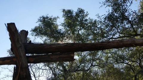 Time lapse of sun and oak trees with a jack fence on a Texas ranch Stock Footage 80158632