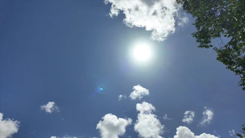 Time Lapse of sun and puffy cumulus clouds with tree Stock Footage 346788814
