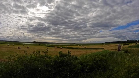 Time lapse with sun and shadow on yellow field on a cloudy day. Stock Footage 283721899