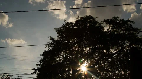 Time Lapse of the sun and sky through a tree Stock Footage 27504914