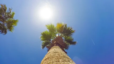 Time lapse sun moves across a clear blue sky Stock Footage 73788443