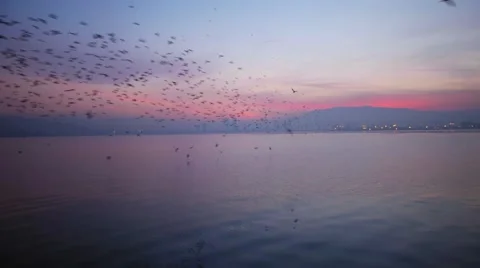 Time lapse before sun raise at Izmir Turkey Video stock 59954293