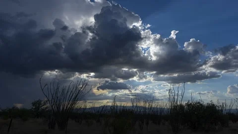 Time lapse of sun rays and clouds above exotic desert plants Stock Footage 201336484