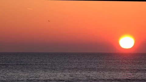 Time lapse of sun rising over beech England UK 4K Video stock 103490563