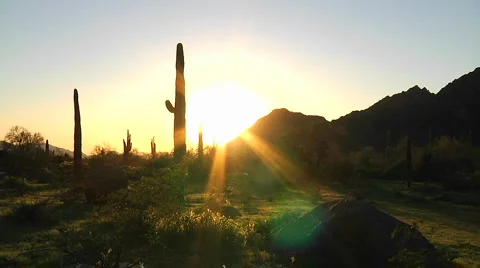 Time lapse of the sun setting on a desert scene. Stock Footage 945621