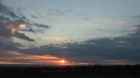 Time lapse sun setting over herd of cows Stock Footage 37190971