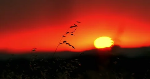 Time lapse of the sun at sunset Stock Footage 170782286