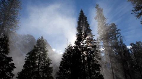 Time lapse of sunbeams shining through misty pine trees in Winter Stock Footage 117143861