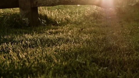 Time lapse of sundown with nice lawn at the background 動画素材 81134059