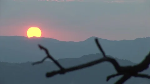 Time-lapse Of Sunrise Behind Tree Branch Silhouette Video stock 127920201