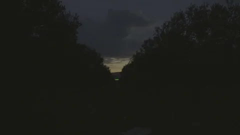 Time Lapse Sunrise with Clouds and Olive Trees in Forest Stock Footage 76518250