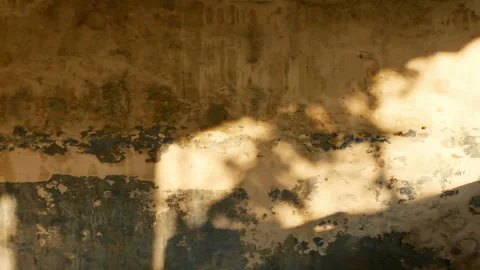 Time lapse sunrise drop shadow on old and dirty concrete wall. Stock Footage 152958720