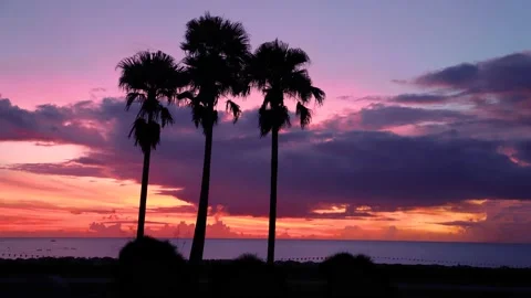 Time lapse of sunrise. Stock Footage 220449907
