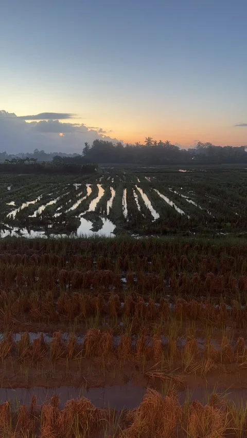 Time-lapse of Sunrise Stock Footage 311353777