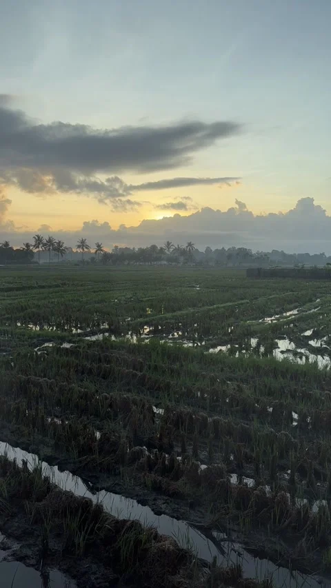 Time-lapse of Sunrise Stock Footage 311353802