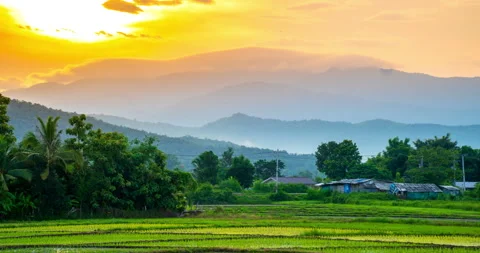 Time lapse sunrise over the mountains with the paddy fields in foreground Stock Footage 282409777