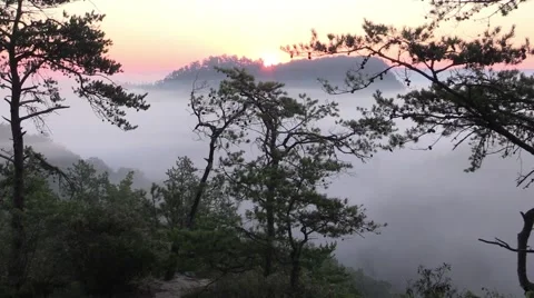 Time-lapse sunrise in Red River gorge Kentucky Stock Footage 52636051