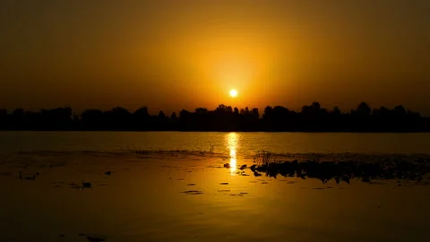 Time lapse of sunrise at the river with water lily Stock Footage 86861953