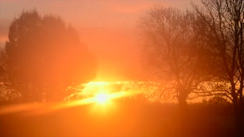 Time lapse sunrise through early morning mist and trees United Kingdom Stock Footage 165696541
