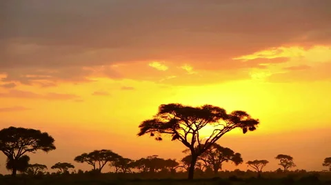 Time lapse Sunset in Amboseli Park, Kenya Video stock 54411752