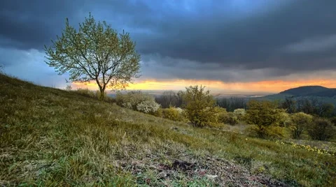 Time lapse with sunset and tree Stock Footage 67582513