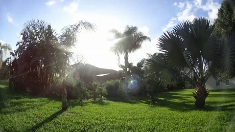 Time Lapse Sunset Backyard 動画素材 73362349